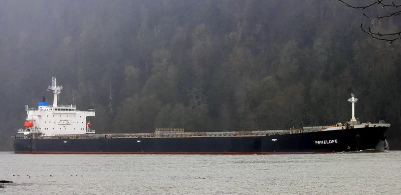 PENELOPE Bulk Carrier IMO 9317822 photo 3