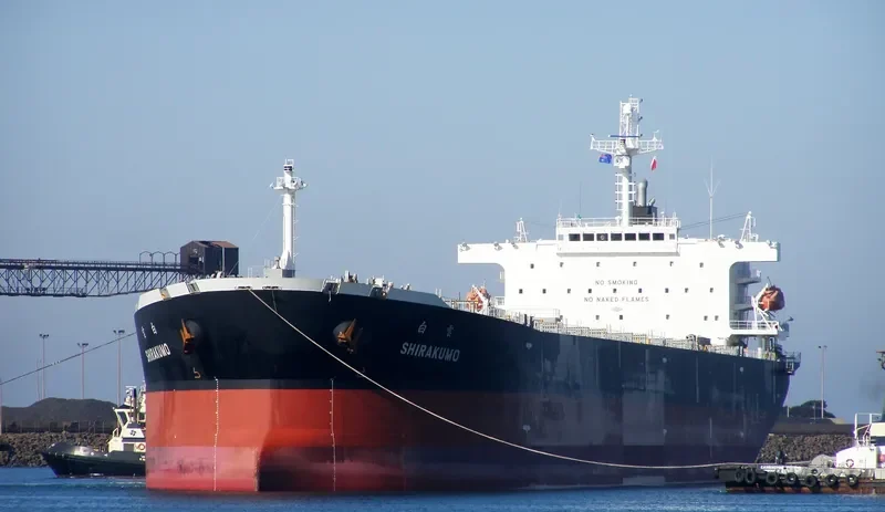PENELOPE Bulk Carrier IMO 9317822 photo 7