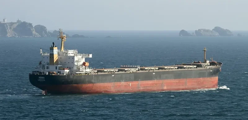 XENIA Bulk Carrier IMO 9317834 photo 4