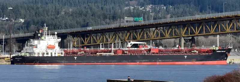 CHEMBULK WESTPORT Tanker IMO 9317858 photo 10
