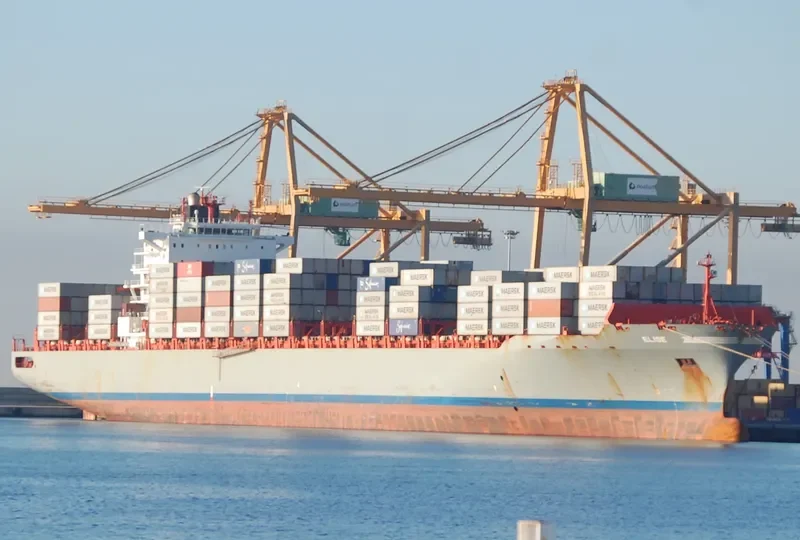 ELISE Container Ship IMO 9317913 photo 3
