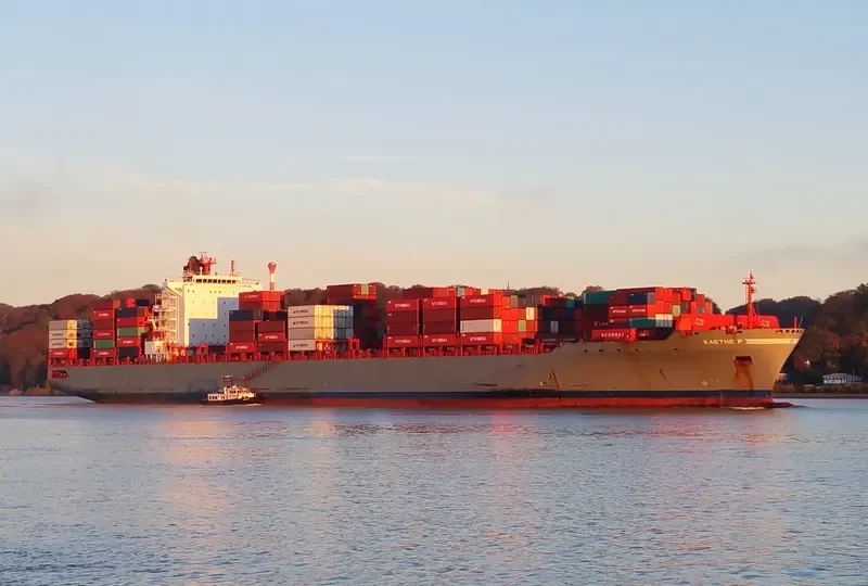 MSC TAMPICO Container Ship IMO 9317937 photo 4