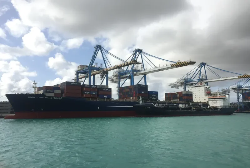 CMA CGM BLUE WHALE Container Ship IMO 9317963