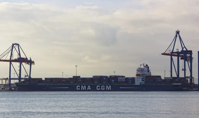 CMA CGM BLUE WHALE Container Ship IMO 9317963 photo 2