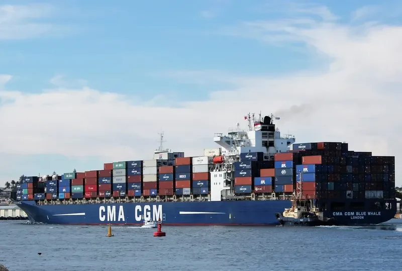 CMA CGM BLUE WHALE Container Ship IMO 9317963 photo 3