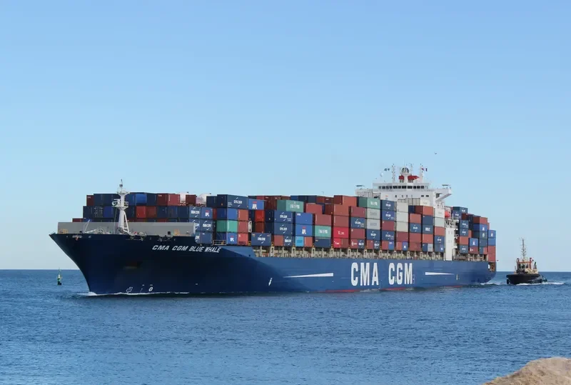 CMA CGM BLUE WHALE Container Ship IMO 9317963 photo 4