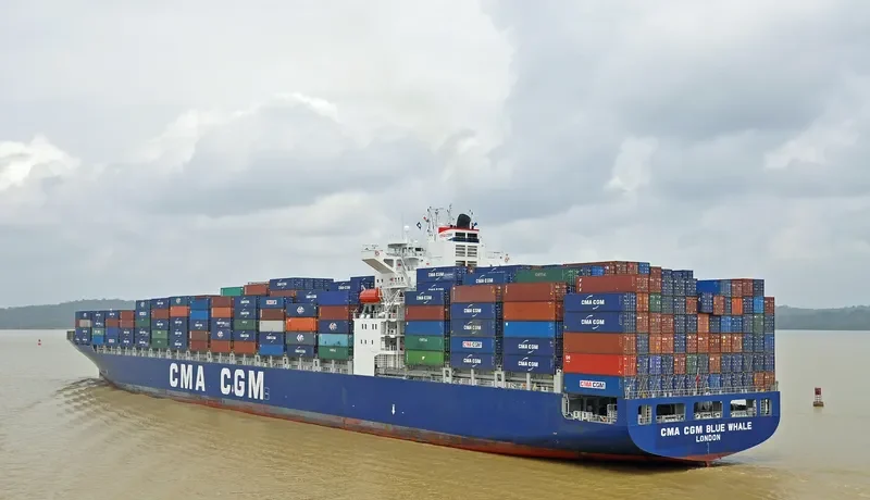 CMA CGM BLUE WHALE Container Ship IMO 9317963 photo 6