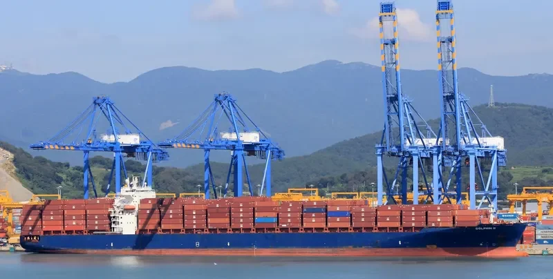 DOLPHIN II Container Ship IMO 9318125 photo 4