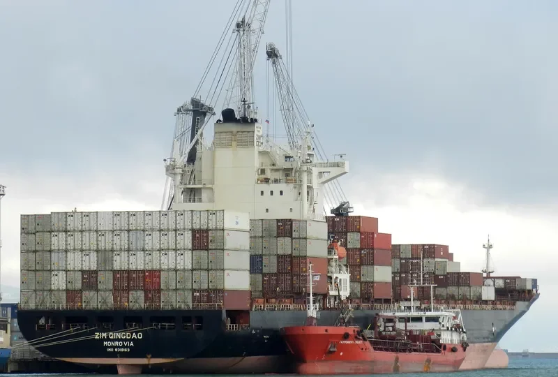 ZIM QINGDAO Container Ship IMO 9318163 photo 8