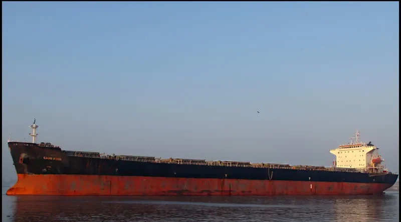 THE LIVING Bulk Carrier IMO 9318369