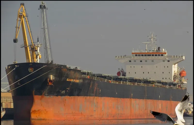 THE LIVING Bulk Carrier IMO 9318369 photo 2