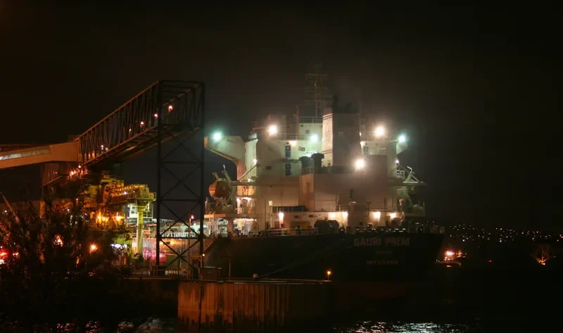 THE LIVING Bulk Carrier IMO 9318369 photo 3