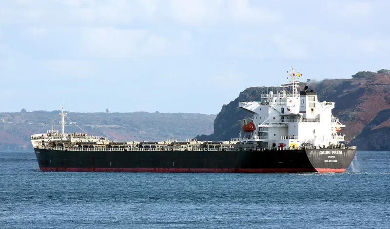 THE LIVING Bulk Carrier IMO 9318369 photo 4