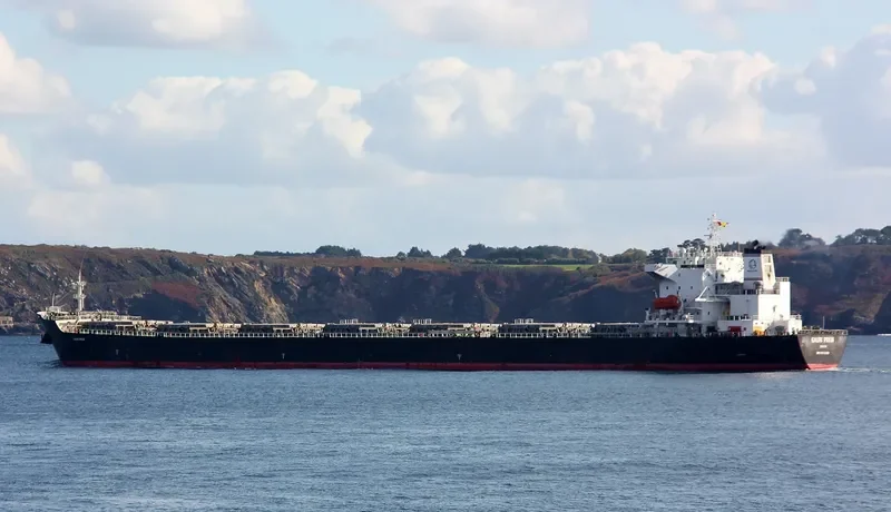THE LIVING Bulk Carrier IMO 9318369 photo 5