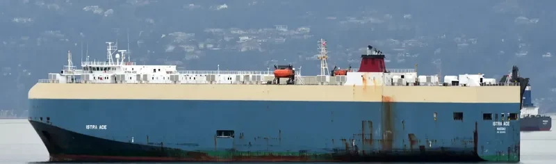 ISTRA ACE General Cargo IMO 9318503 photo 2