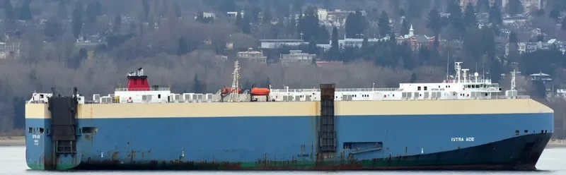 ISTRA ACE General Cargo IMO 9318503 photo 3
