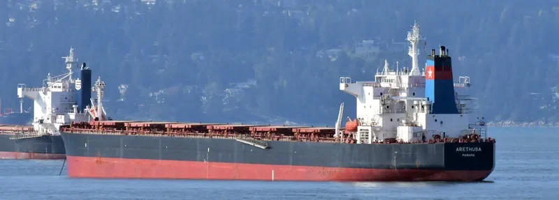 ARETHUSA Bulk Carrier IMO 9318591 photo 5