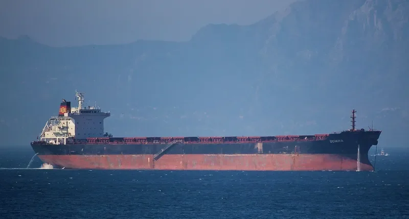 THE WISE Bulk Carrier IMO 9318606 photo 3