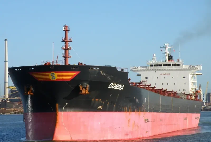 THE WISE Bulk Carrier IMO 9318606 photo 4