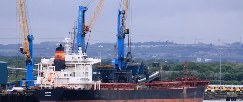 THE WISE Bulk Carrier IMO 9318606 photo 5