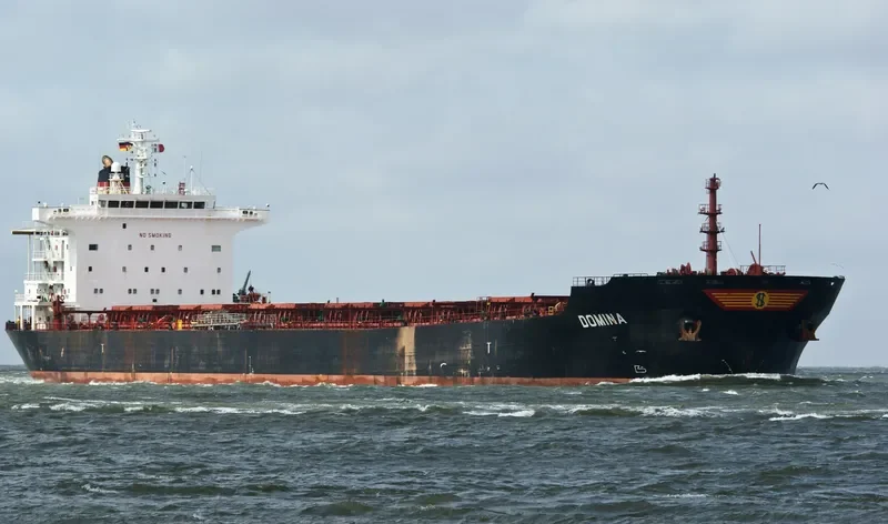 THE WISE Bulk Carrier IMO 9318606 photo 7