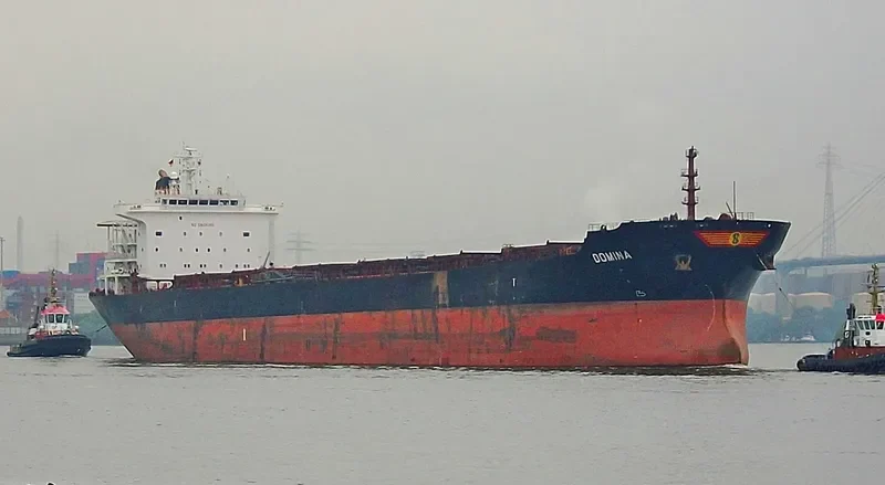 THE WISE Bulk Carrier IMO 9318606 photo 8