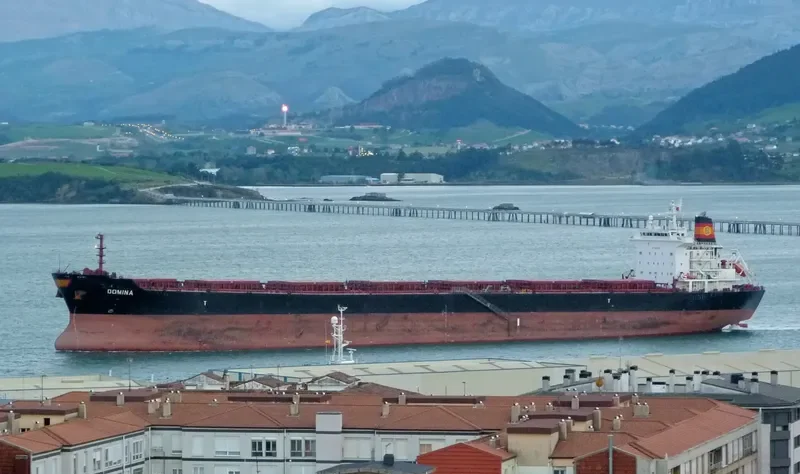 THE WISE Bulk Carrier IMO 9318606 photo 10