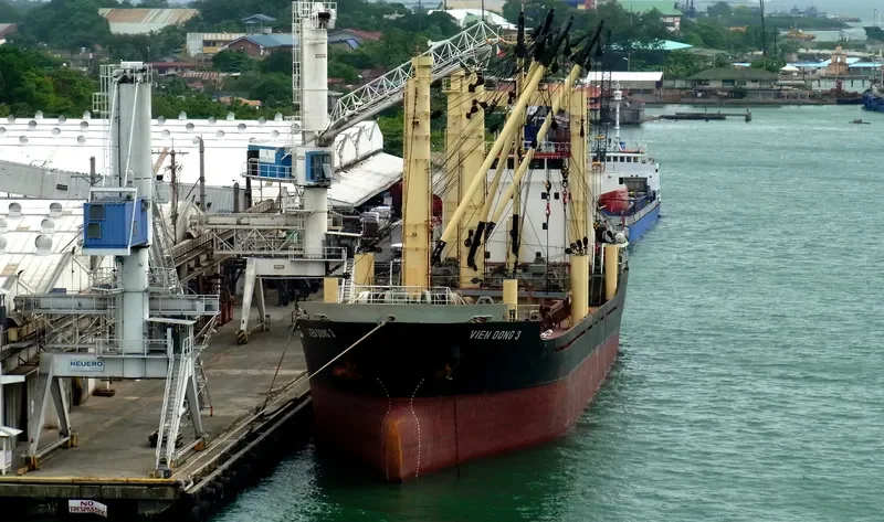 VIEN DONG 3 General Cargo IMO 9318670 photo 5