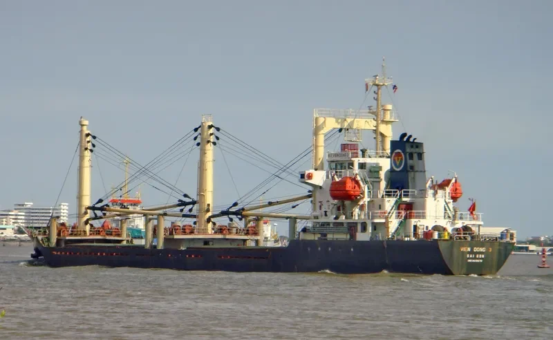 VIEN DONG 3 General Cargo IMO 9318670 photo 9