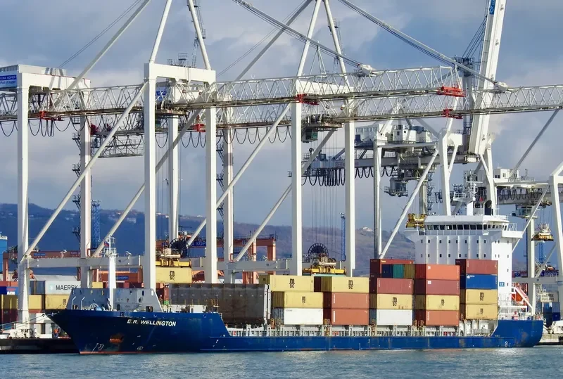 MSC ELKE F Container Ship IMO 9318773
