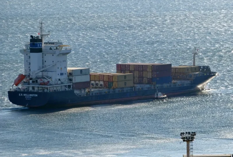 MSC ELKE F Container Ship IMO 9318773 photo 2