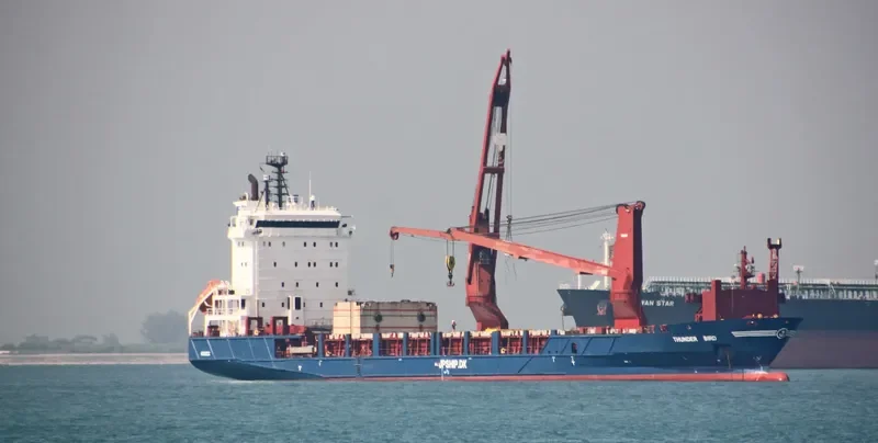 THUNDER BIRD General Cargo IMO 9318943