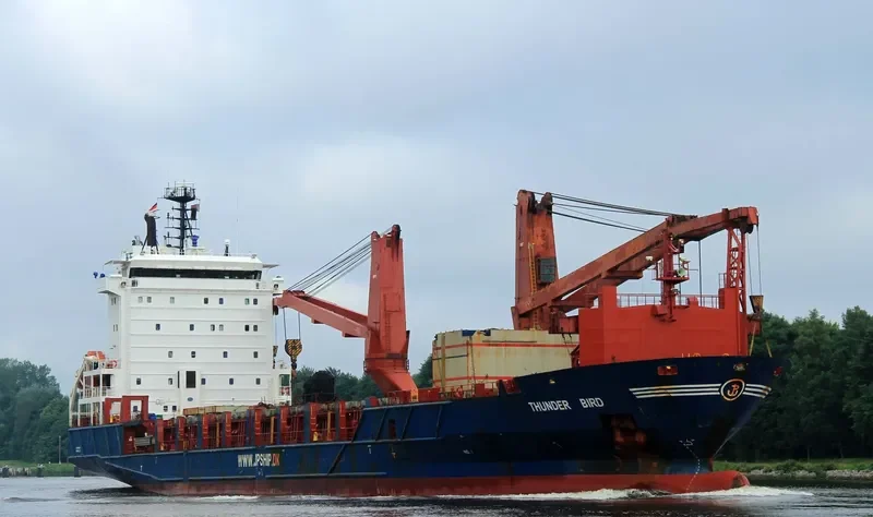 THUNDER BIRD General Cargo IMO 9318943 photo 6