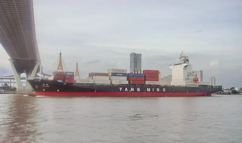 YM IMAGE Container Ship IMO 9319088 photo 2