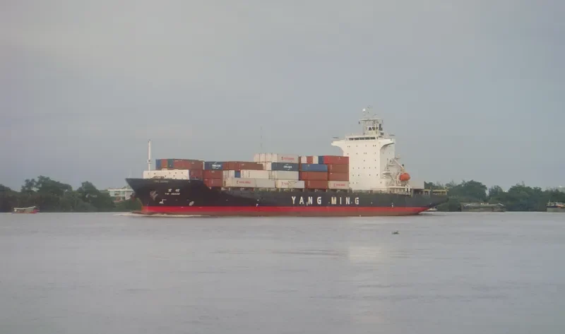 YM IMAGE Container Ship IMO 9319088 photo 3