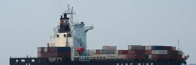 YM IMAGE Container Ship IMO 9319088 photo 8