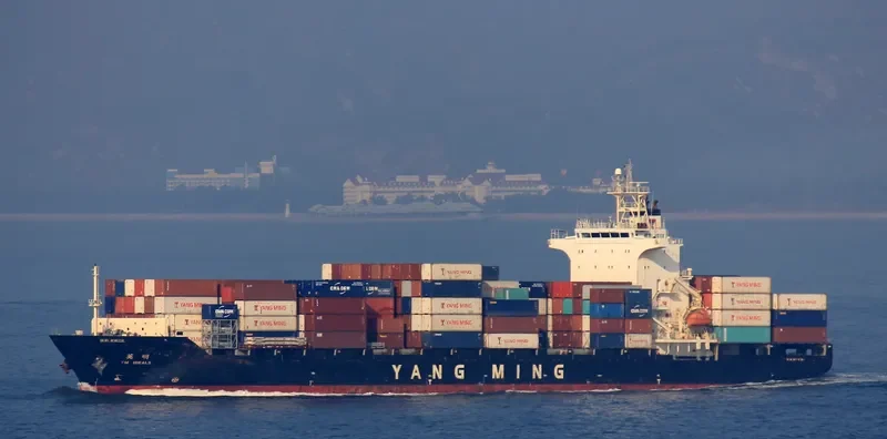 YM IDEALS Container Ship IMO 9319129 photo 6