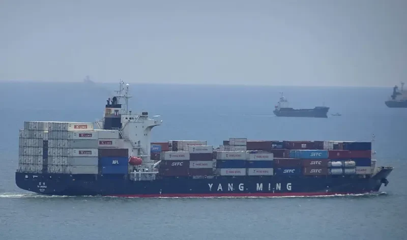 YM IMMENSE Container Ship IMO 9319131