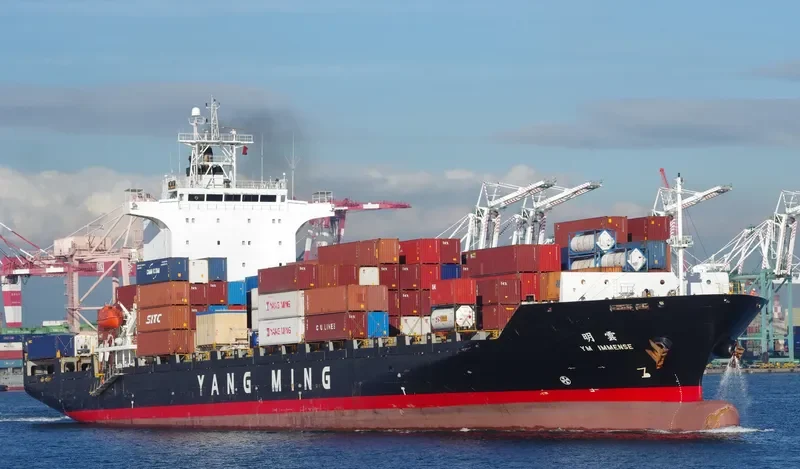 YM IMMENSE Container Ship IMO 9319131 photo 2