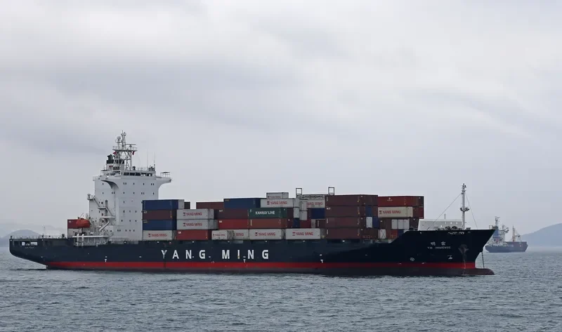 YM IMMENSE Container Ship IMO 9319131 photo 3