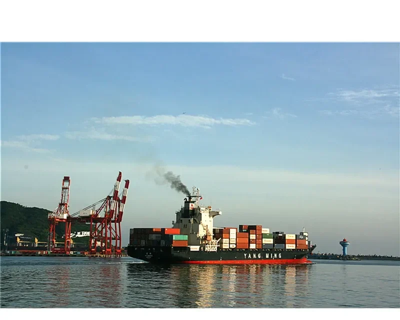 YM IMMENSE Container Ship IMO 9319131 photo 10
