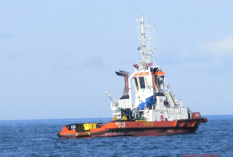 RED FOX General Cargo IMO 9319193 photo 2