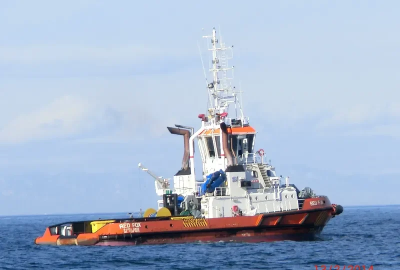 RED FOX General Cargo IMO 9319193 photo 4
