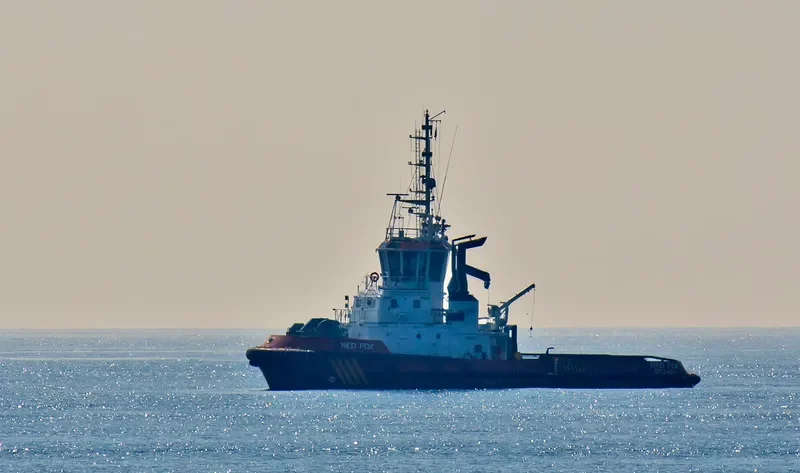 RED FOX General Cargo IMO 9319193 photo 9