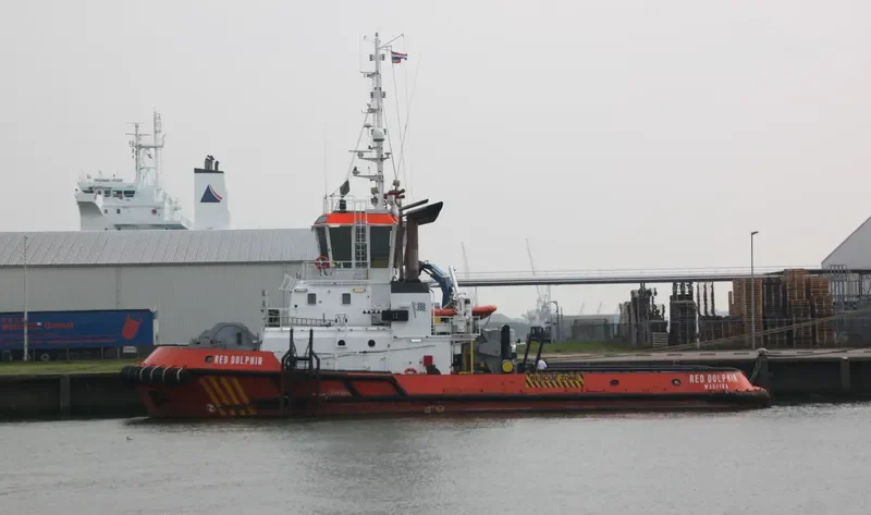 RED DOLPHIN General Cargo IMO 9319208 photo 3