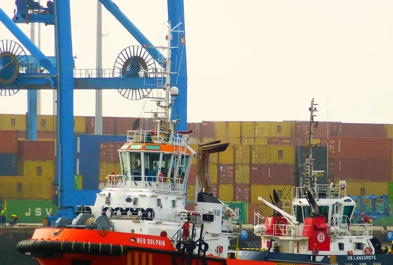 RED DOLPHIN General Cargo IMO 9319208 photo 5