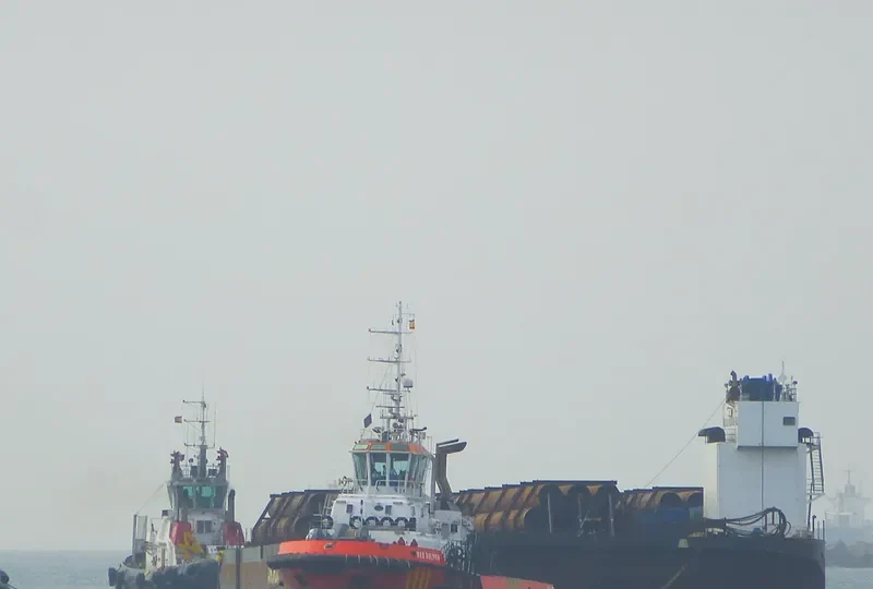 RED DOLPHIN General Cargo IMO 9319208 photo 7