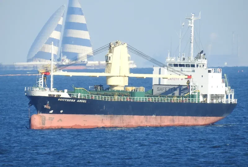 SOUTHERN ANGEL General Cargo IMO 9319258 photo 2