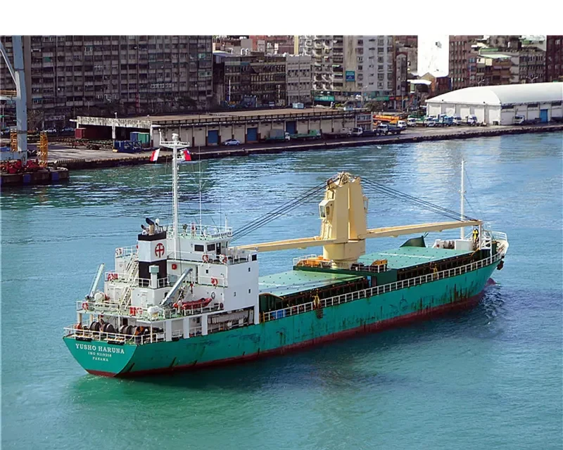 SOUTHERN ANGEL General Cargo IMO 9319258 photo 4