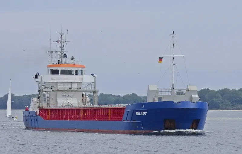 MILADY General Cargo IMO 9319430 photo 6
